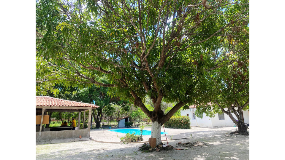 Área de lazer externa da unidade. Na imagem é possivel uma ampla área verde, com árvores e areia ao redor.